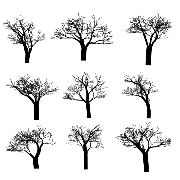 Conjunto Árvores Vetoras Ícone Árvore Vetorial Logotipo Árvore Desenho Árvore — Vetor de Stock