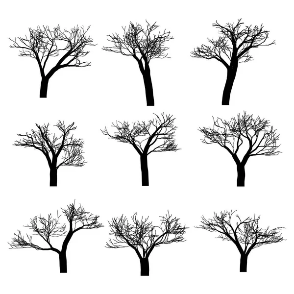 Vektör ağaçları kümesi. Vektör ağacı simgesi. Ağaç logosu. Vektör ağaç tasarımı. Meyve ağaçları ve meyve ağaçları. Vahşi ağaçlar ve çalılar.