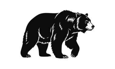 Siyah-beyaz vektör tarzında ayı silueti, güçlü vahşi hayvan sembolü güç ve doğanın, ayı silueti, vahşi ayı, orman hayvanı, vahşi yaşam sanatı, güçlü hayvan.