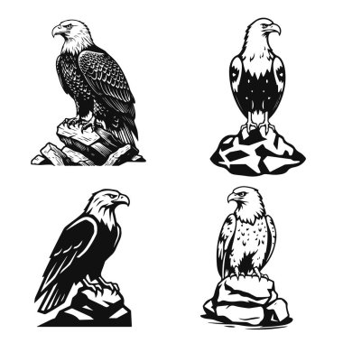 Bir kayanın üzerinde oturan kartallar, koyu siyah ve beyaz tarzda, güçlü av logosu - kartal logosu, kuş amblemi, vahşi kartal, kaya kartalı, güçlü kuş logosu