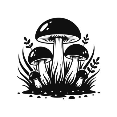 Çimenlerde yetişen mantarlar siyah beyaz çizgi sanat ormanı doğa sahnesi, vahşi mantarlar, orman bitkileri, çim tarlası, doğa çizimi, botanik çizimi, mantar kümesi