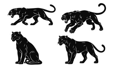 Bir grup siyah panter zarif, minimalist tarzda hareket halindeki gücü ve çevikliği gösteriyor. Panter silueti, vahşi kedi, büyük kedi, yırtıcı sembol