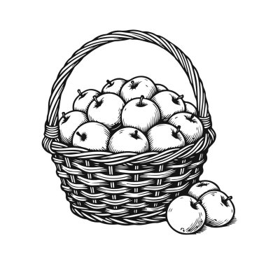 Taze elmalarla dolu bir hasır sepet. Elma sepeti, taze hasat, meyve sepeti, organik elmalar, sağlıklı beslenme. Siyah ve beyaz vektör resimleri