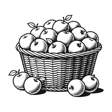 Taze elmalarla dolu bir hasır sepet. Elma sepeti, taze hasat, meyve sepeti, organik elmalar, sağlıklı beslenme. Siyah ve beyaz vektör resimleri