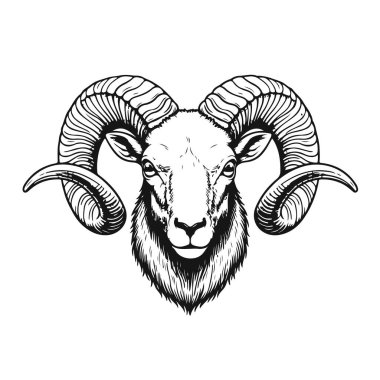 Kavisli boynuzlu bir koç kafası. Klasik bighorn ikonu, Koç burcunu doğa temalı bir logoda sembolize ediyor. Vahşi bir dağ hayvanının zarif siyah ve beyaz vektör görüntüsü