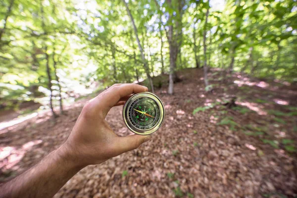 man hand compass on forest backgroun
