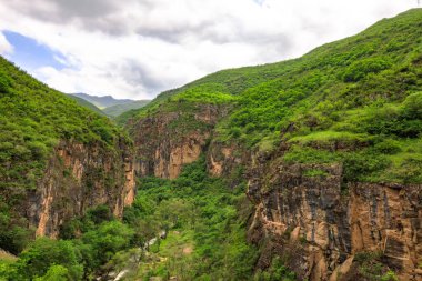 Yüksek kayalıklardaki ağaçlar ve otlar