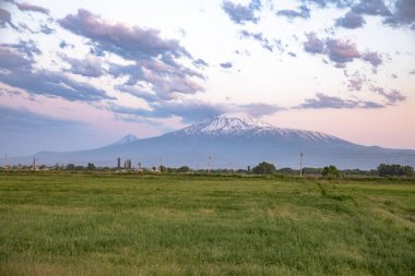 Soyut gökyüzü altında tarlası olan ararat dağı