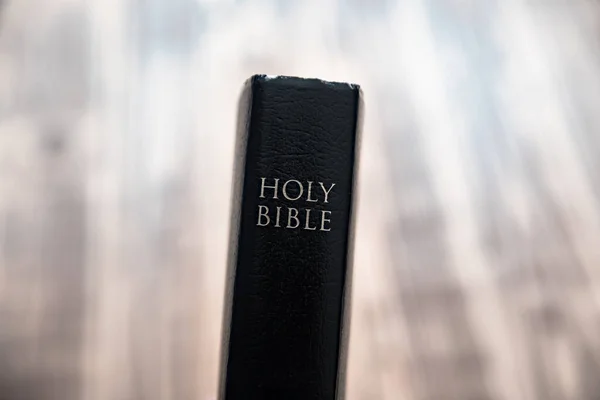 Heliga Bibeln Med Suddig Backgroun — Stockfoto