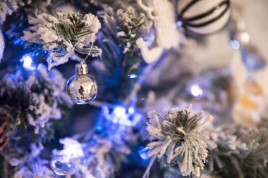 Renkli ışıklarla süslenmiş Noel ağacı