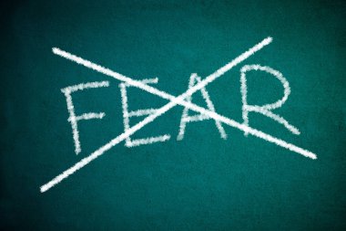 Yaban domuzundan korku yok.