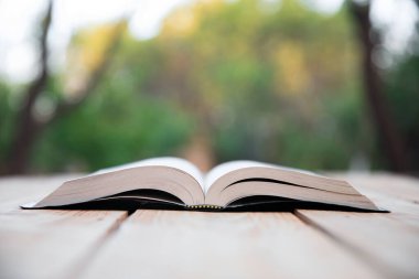 Doğada İncil 'i aç.