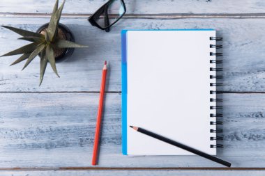Kalemli defter ve masada kaktüslü gözlük!