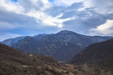 Gökyüzünün altındaki dağda bir orman