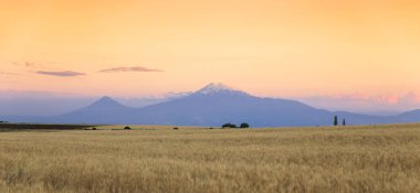 Gün batımında dosyalanmış Ararat Dağı