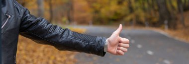 Bir adam ormanda sonbaharda bir arabayı durdurur.