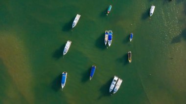 Yeşil suda demirli teknelerin hava görüntüsü, gün ışığında mavi ve beyaz örtülerle aralıklı..