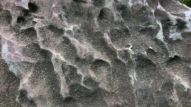 Sert kaya yüzeyine yakın çekim, girintiler, tahıl dokusu ve doğal ortamda dağınık yapraklar..