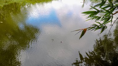 Gökyüzünün yeşil gölgeleri ve doğanın suya düşüşü sanatsal bir zemin yarattı..