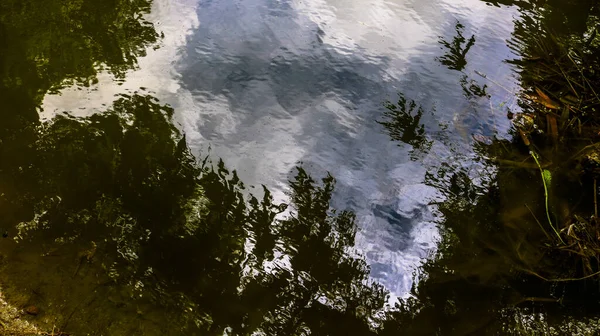 Green Shadows Sky Nature Falling Water Have Created Artistic Background — Stock Photo, Image