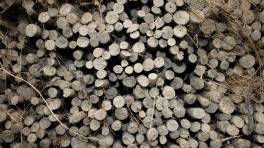 Yığınlar halinde sıralanmış kurutulmuş jüt çubukları. Güzel bir jüt arkaplan dokusu.