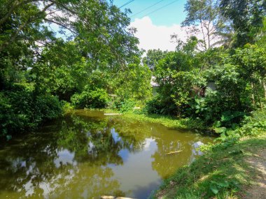 The small canal of the village in the middle of the green.