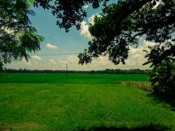 Piękny Krajobraz Bangladeszu — Zdjęcie stockowe