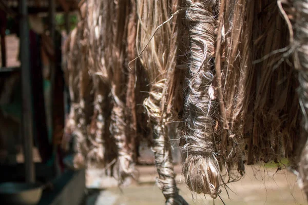 Die Nasse Jute Wird Reihenweise Getrocknet Nachdem Die Jute Getrocknet — Stockfoto