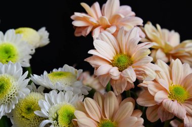 narin güzel çiçekler. Kapat..