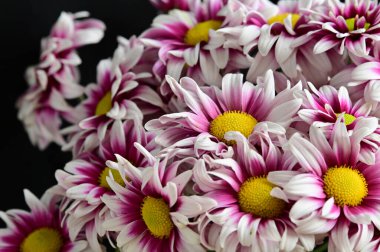 narin güzel çiçekler. Kapat..