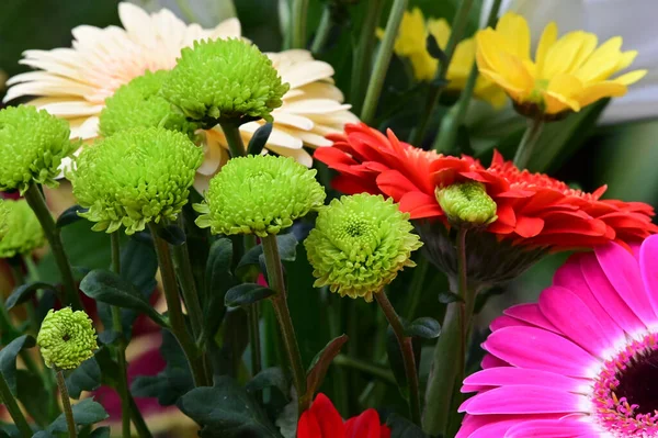 narin güzel çiçekler. Kapat..