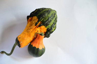 beyaz arkaplanda kabaklar