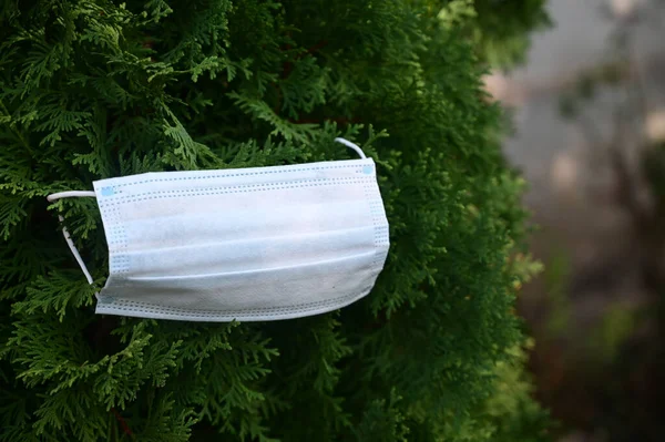 white medicine mask on green thuja growing in garden , concept of coronavirus