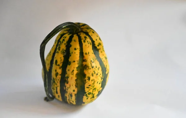 pumpkins on white background