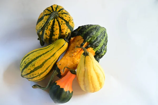 Pumpkins White Background — Stock Photo, Image