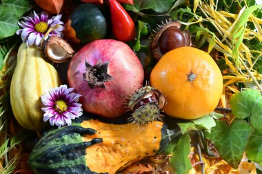 Düşen yaprakların sonbahar kompozisyonu çiçekler ve balkabaklı meyveler, yakın görüş 