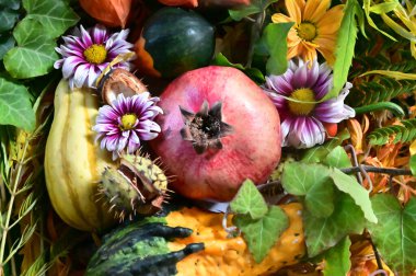 Düşen yaprakların sonbahar kompozisyonu çiçekler ve balkabaklarıyla nar, yakın görüş 
