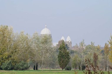 Güneşli bir günde ağaçların arasındaki köy manzarası