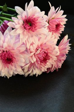 Koyu arkaplanda güzel çiçekler, yaz konsepti, yakın manzara  