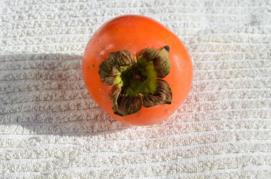 Masada tatlı olgun hurma, yakın görünüm 