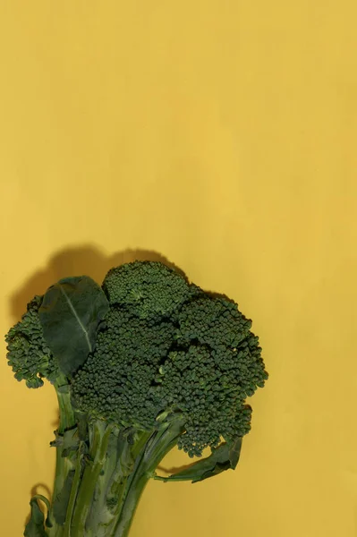 Färsk Mogen Broccoli Kål Ljus Bakgrund Närbild — Stockfoto