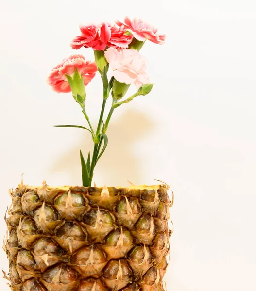 Fresh Ripe Pineapple Carnations Close View — Stock Photo, Image