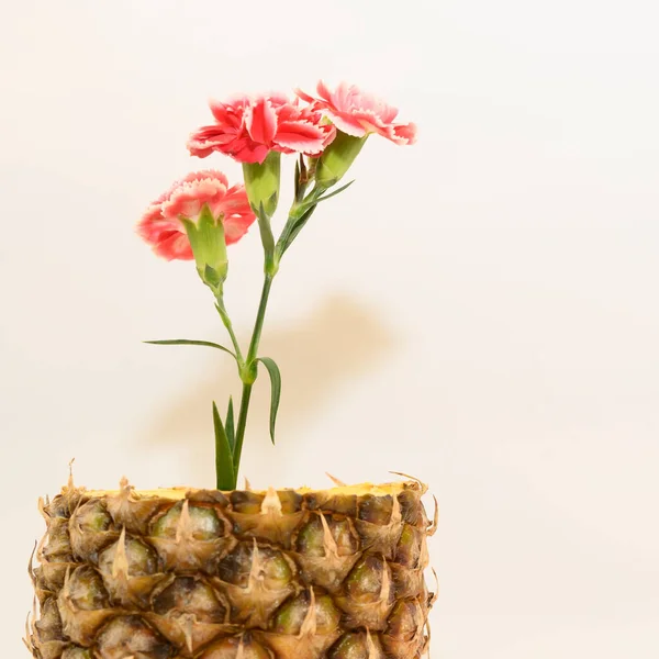 Fresh Ripe Pineapple Carnations Close View — Stock Photo, Image