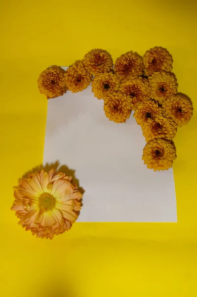 Hög Med Vackra Blommor Med Tomt Vitt Papper Gul Bakgrund — Stockfoto