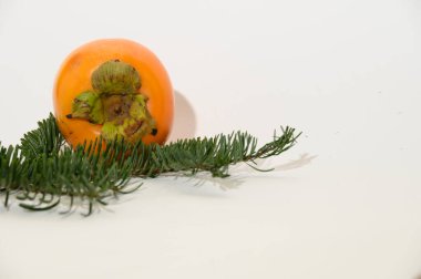 Hafif arkaplanda hurma ağacı olan ladin dalları, yakın görünüm 