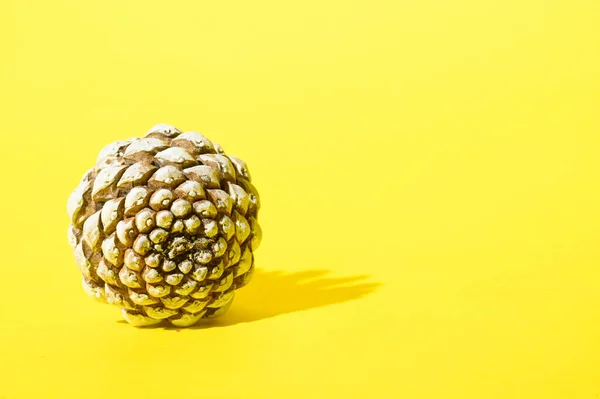 Dry Pine Cone Yellow Background Close View — Stock Photo, Image