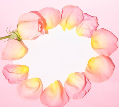 Hafif arka planda gül yaprakları, romantik konsept, yakın görüş  