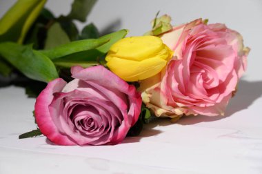 Parlak arka planda güzel taze güller ve lale, yaz konsepti, yakın manzara  