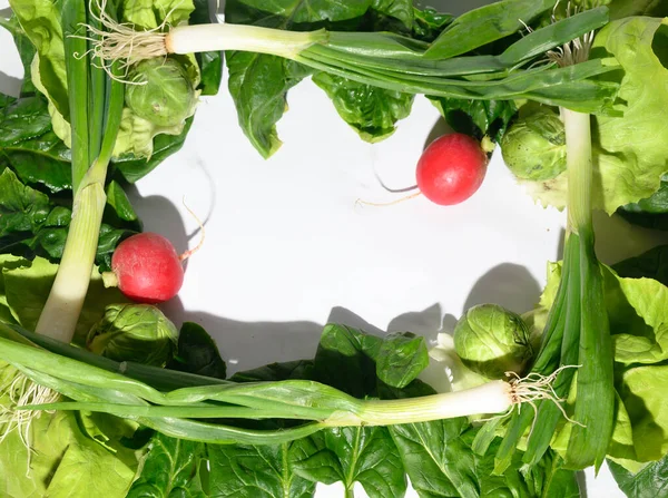 框架从新鲜的绿色菠菜和卷心菜叶与苞片芽和荔枝 近距离观察 — 图库照片