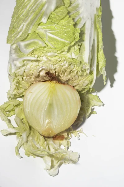 Fresh Ripe Chinese Cabbage Onion Light Background Close View — Stock Photo, Image